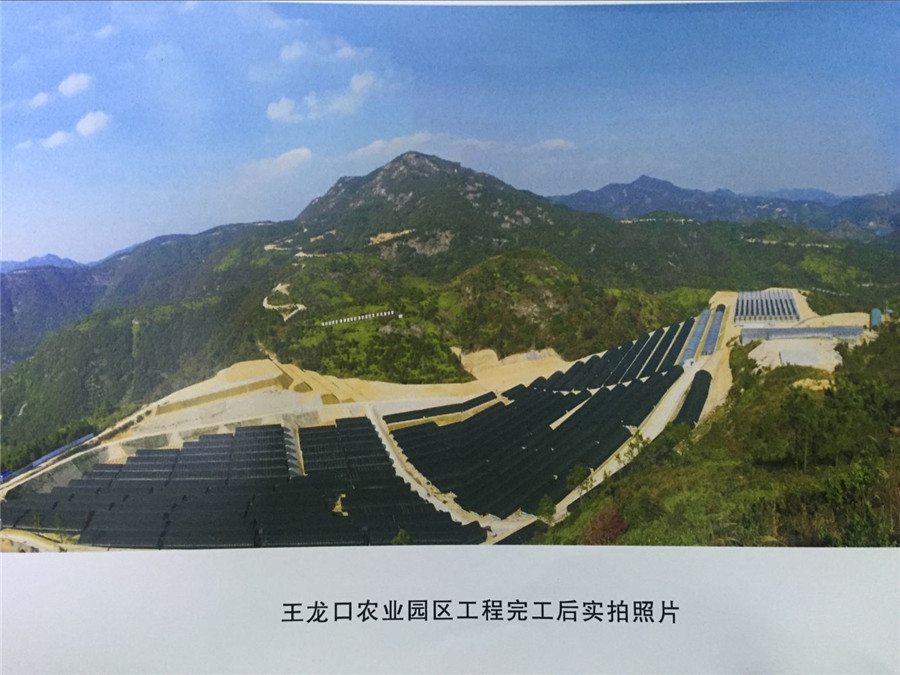 王龍口農業園區工程